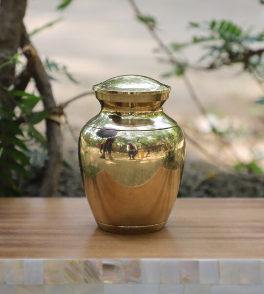 Human Ashes Brass Cremation Urn Memorials Urns for Human Ashes Suitable for Funeral Cemetery (5 INCH)