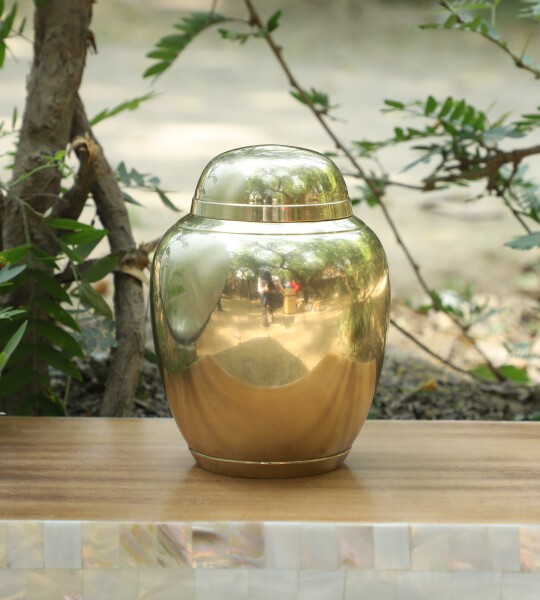 Human Ashes Brass Cremation Urn Memorials Urns for Human Ashes Suitable for Funeral Cemetery (6 INCH)
